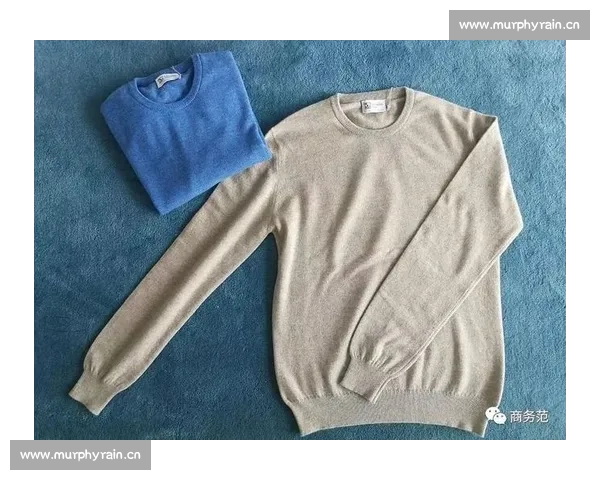 比赛毯的选购与使用技巧及其在赛事中的重要性解析